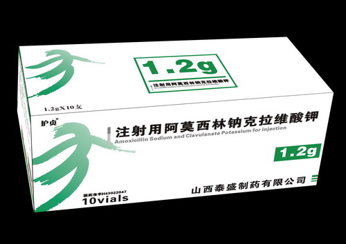 注射用阿莫西林鈉克拉維酸鉀——有效抑制產(chǎn)β-內(nèi)酰胺酶的敏感菌感染 